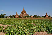 The cluster of red brick temples, named Khay-min-gha on the map on the North plain of Bagan. Myanmar. 